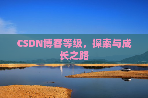 CSDN博客等级,探索与成长之路